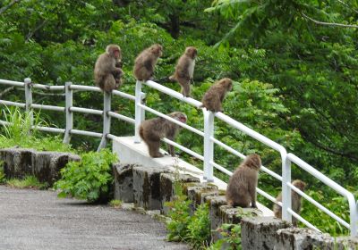 サル＿その三