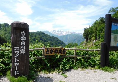 ホワイトロード栂の木台駐車場