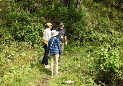 ガイドウォークの様子_その二