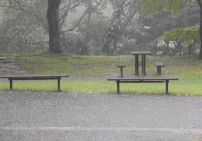 大雨_その一