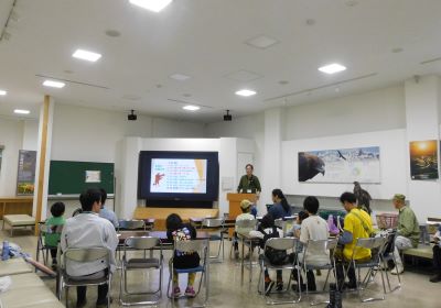 私の推しの虫探し＿その一