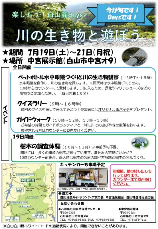 水遊びDaysチラシ