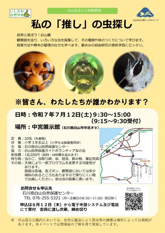 案内チラシ