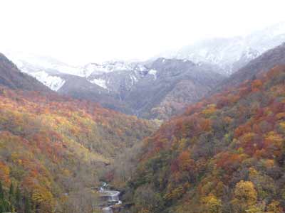 雪と紅葉