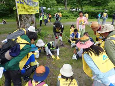 20190623オオバコ除去3