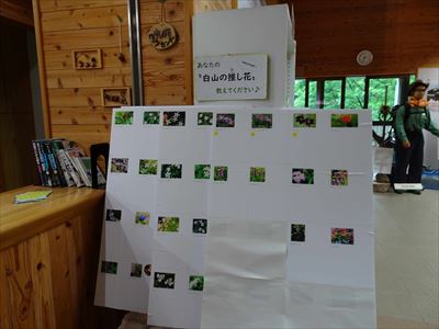2024推し花投票