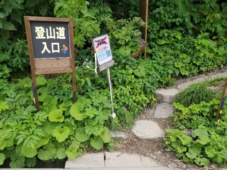 外来植物侵入防止ブラシ