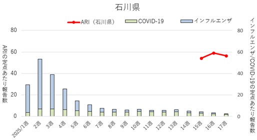 202517w_ARI_ishikawa.jpg