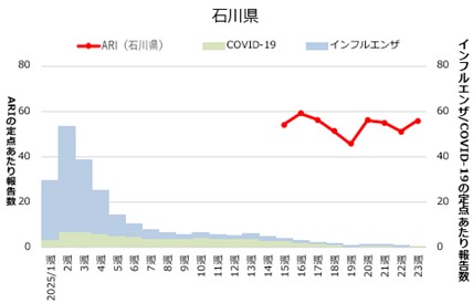 ishikawa_23w.jpg