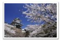 写真素材集/ほっと石川旅ネット