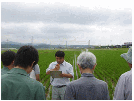 現地圃場（白山市）の説明