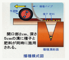 撒種模式図