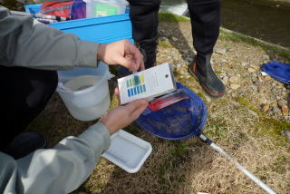 写真  水質の確認