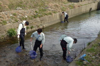 写真  川の中で魚探し