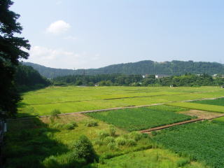 写真  基盤整備着工前（白山市河内町吉岡）