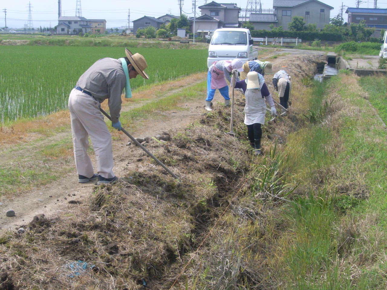 写真  協同清掃作業（白山市手取町地内）