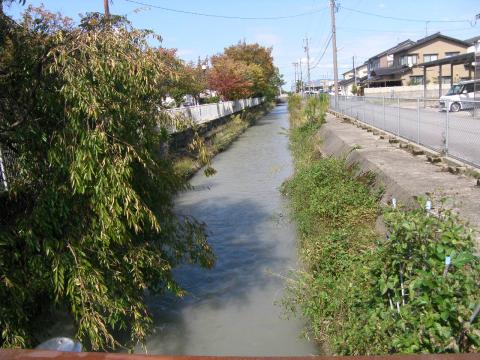 手取川右岸（着手前）