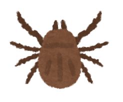 だに