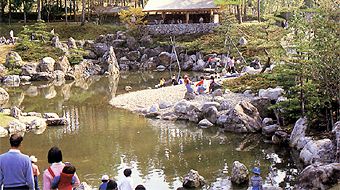 林業試験場樹木公園