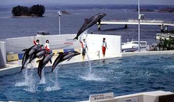 のとじま水族館