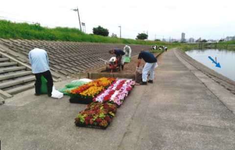 磯部町河川愛護会花壇の整備風景の写真