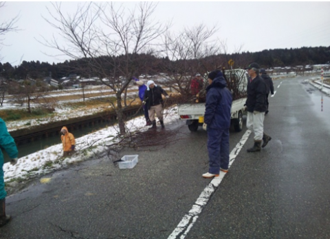 地元住民による活動風景の写真