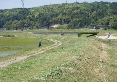 酒見川の除草