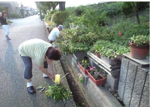 草花の手入れ作業の写真