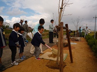 鍋谷川の子どもたちが植樹する様子