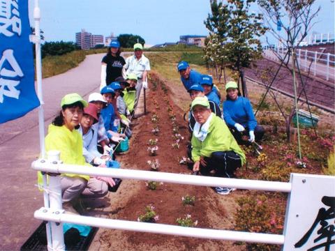 犀川河川愛護会の花の植え付け風景写真