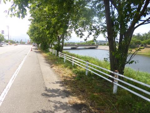 新堀川での除草風景写真