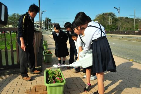 新堀川の地元周辺の小学生の花の水遣り風景写真