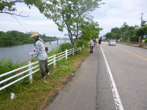 新堀川での除草風景の写真