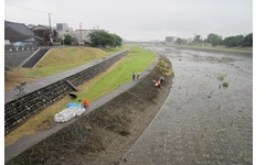 盥に一滴の水の除草風景写真