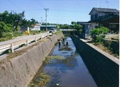 安産川での清掃・除草状況写真