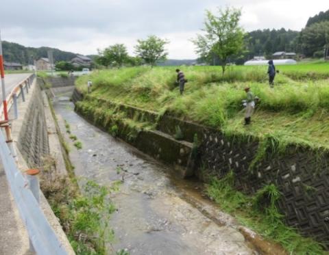 吉田町の除草