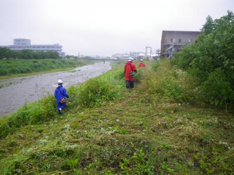 新友会の除草風景