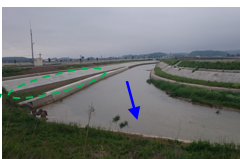 鍋谷川の除草箇所