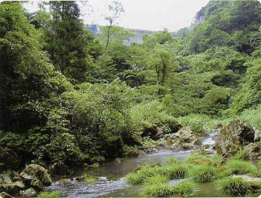 犀川ダム直下の維持流量放流後の写真