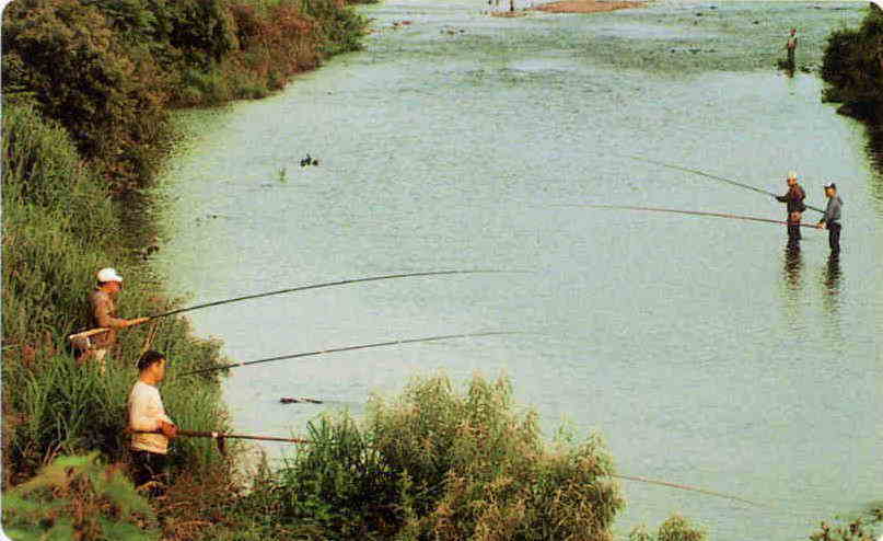 河原田川でアユ釣りを楽しむ人たちの写真
