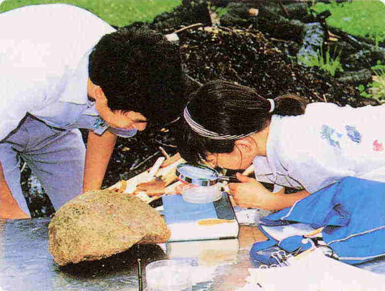 赤瀬ダムで採取した水生生物を観察する子どもの写真