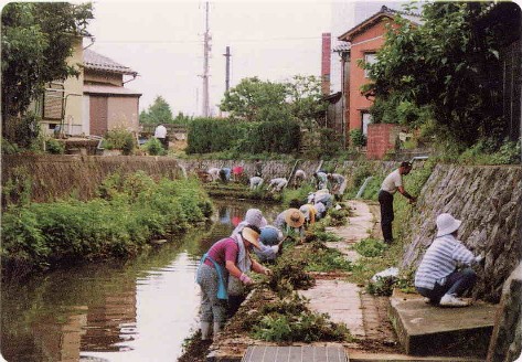 御祓川ふれあい会の人たちが御祓川沿いの草刈りをしている写真