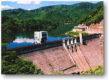 大日川ダムの全景写真