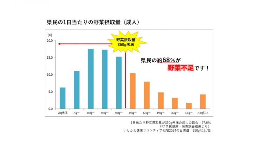 1日当たりの野菜摂取量2024
