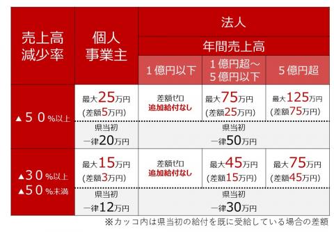 追加給付