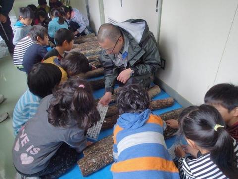 蓮代寺小学校2