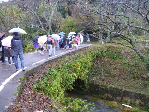 緑の少年団小松・能美ブロック交流会1