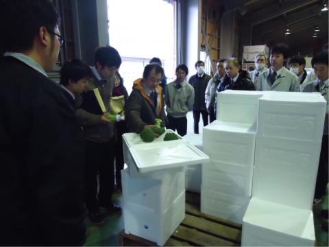 「南加賀の地場野菜」産地見学会