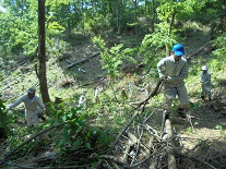 三谷地区作業状況