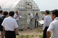 トマト圃場